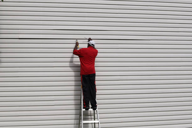 Historical Building Siding Restoration in Csar Chvez, TX