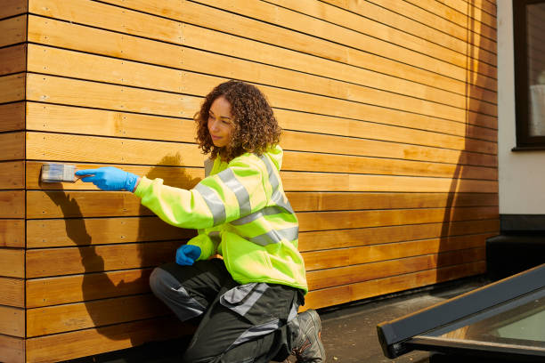 Best Stone Veneer Siding  in Csar Chvez, TX
